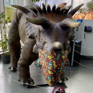 Meet your Posher, Handan